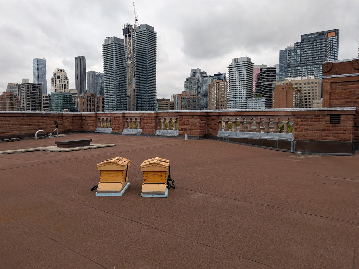 Beelocal 416 Bees at Queen's Park: Supporting Ontario Agriculture & Urban Beekeeping ...