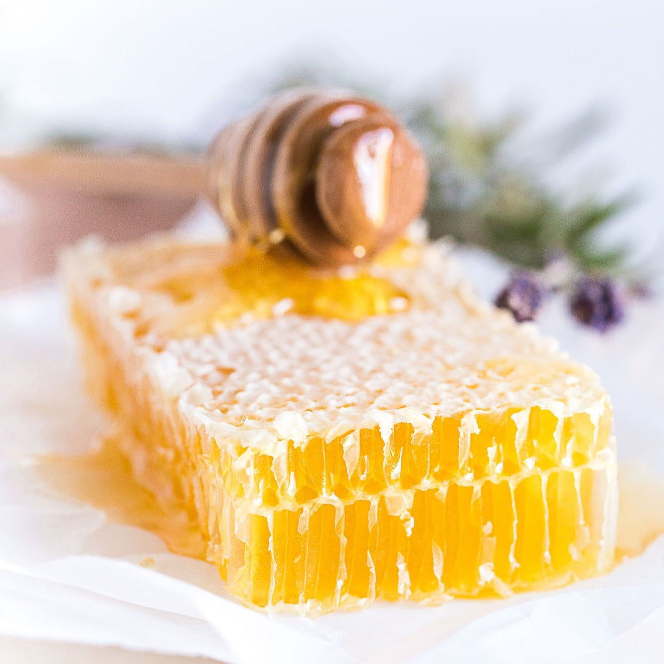 Adopt a Hive - Gift Pack – Bee Local 416