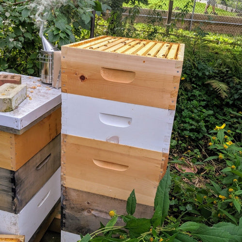 Beelocal 416 Products – Page 3 – Bee Local 416